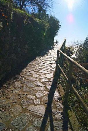 Trekking And Relax - Maremonti - Homy 5 Terre Apartamento Vernazza Exterior foto